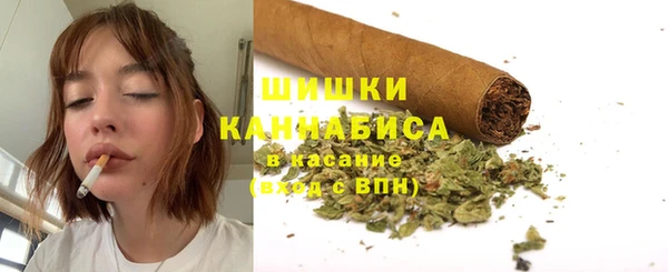 шишки Нязепетровск