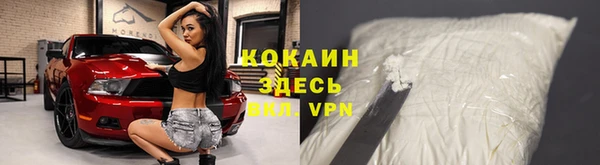 прущая мука Няндома