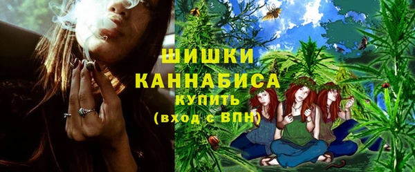 шишки Нязепетровск