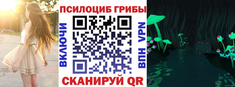 как найти наркотики Углегорск Псилоцибиновые грибы Psilocybine cubensis