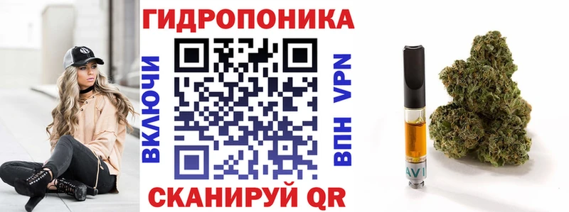 Канабис конопля  продажа наркотиков  МЕГА как войти  Углегорск 